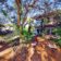 rearviews-small