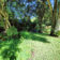 backyards