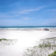 seacolonybeachaccesslookingeasts