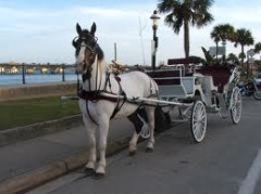 St Augustine Carriages