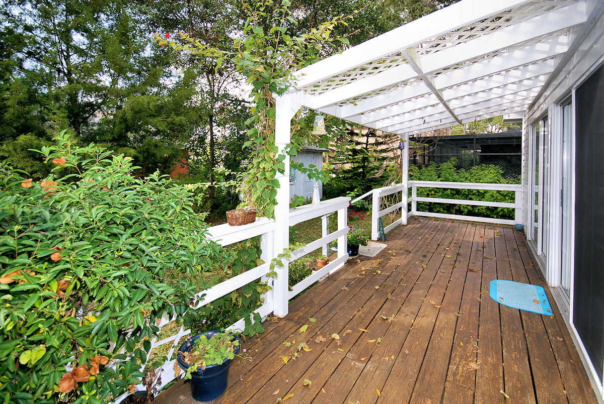 backdecks
