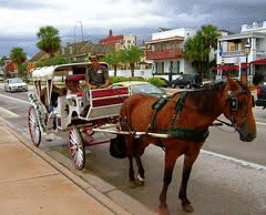 Carraige Tours of St Augustine