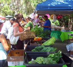 St Augustine Farmers Market