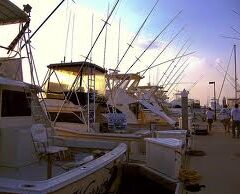 St Augustine Fishing Charters
