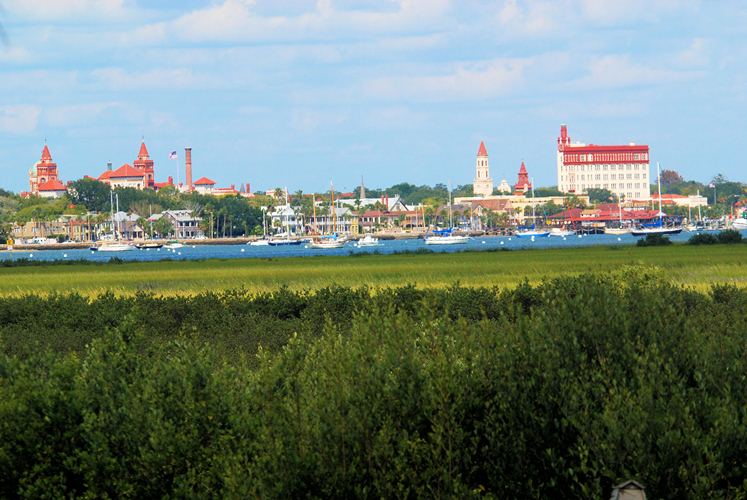 View from the patio of 134 Spartina Avenue St Augustine, FL