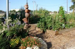 Lincolnville Community Garden