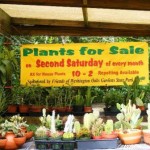 Washington Oaks Garden State Park Plant Sale