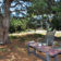 backyardundertrees
