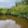 backoflotviewfromsideoflakes