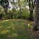 backyards