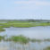 intracoastalviews
