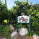 saltrunsigns