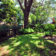 backyardh