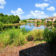 backyardlakes
