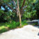 image1s