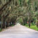 magnoliastreetlookingsouths