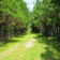 driveways