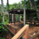 from-the-lush-backyard