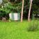 backyards