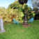backyardsittingareas
