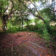 backyards