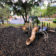 playgrounds