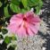 dsc0033s