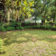 backyard1s