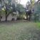 dsc0020s