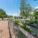 fullerwood-garden-with-rows
