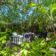 dsc0540