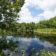 olde-florida-lake