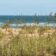 st-aug-beach-dunes