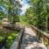olde-florida-close-up-path