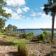 river-view-ground