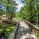 olde-florida-close-up-path