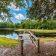 olde-florida-dock-2